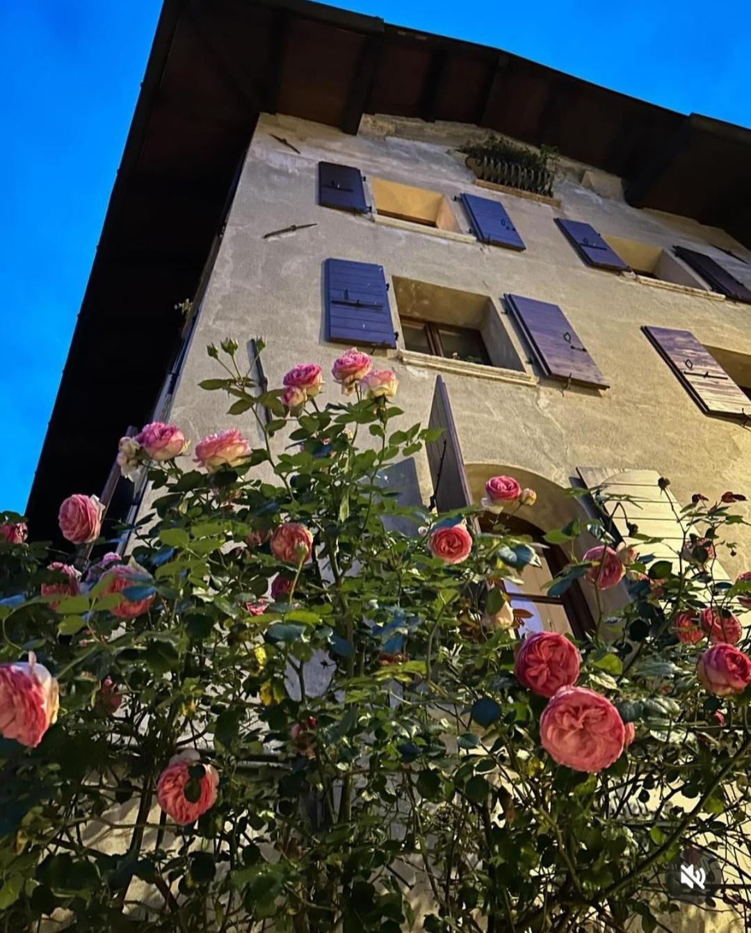 Via Mezzaterra 10 Daire Feltre Dış mekan fotoğraf