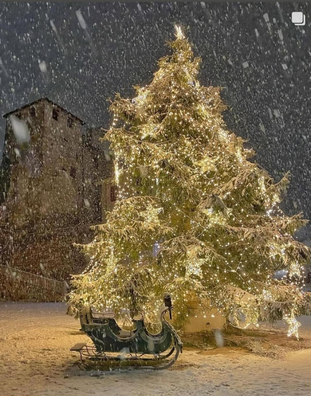 Via Mezzaterra 10 Daire Feltre Dış mekan fotoğraf